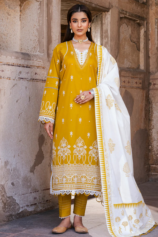 ZELLBURY 3PC CHIKANKARI